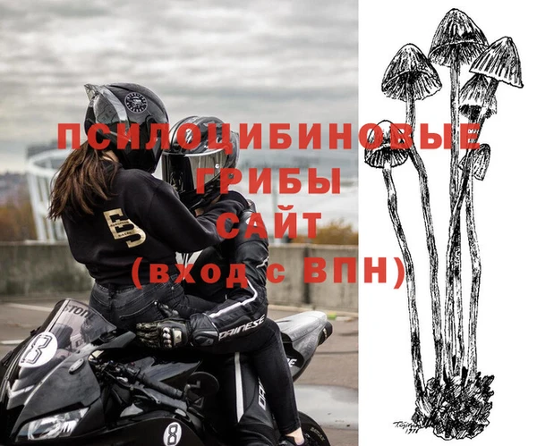 прущие крисы Алзамай