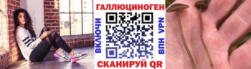 Галлюциногенные грибы MAGIC MUSHROOMS  Лысьва 
